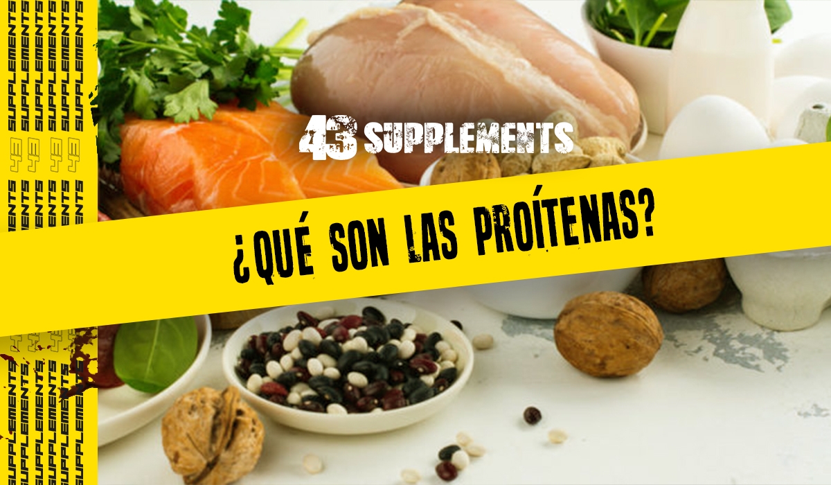 ¿Qué son las proteínas?