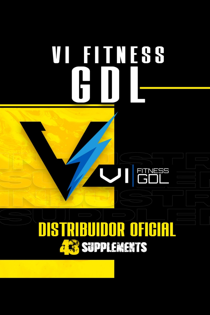 VI Fitness GDL